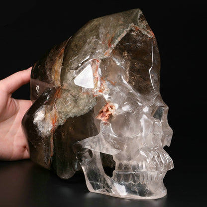 Garden Quartz Crystal Skull Free Formed Head